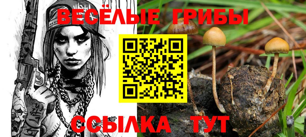 Галлюциногенные грибы Psilocybe  Галлюциногенные грибы мицелий  Новоалександровск  Вход с VPN 